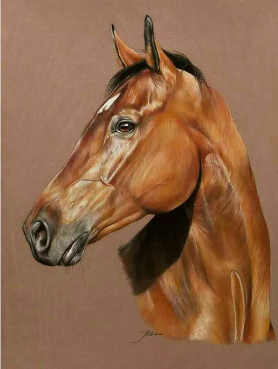 1526542421430e2f3284f80