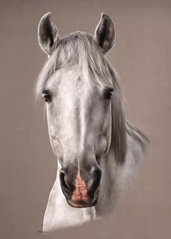 152654242848504cad5efe7