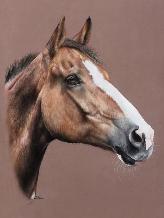 15265424286374a886f32a7