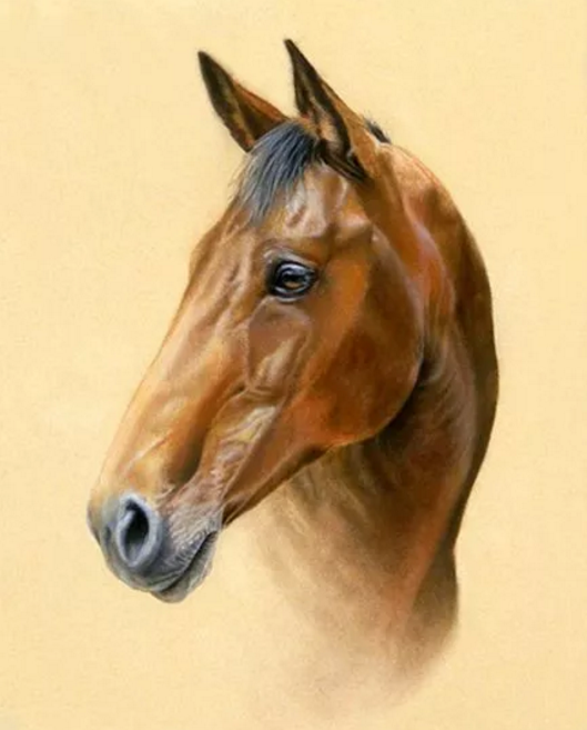 1526542437795ad10c60a05