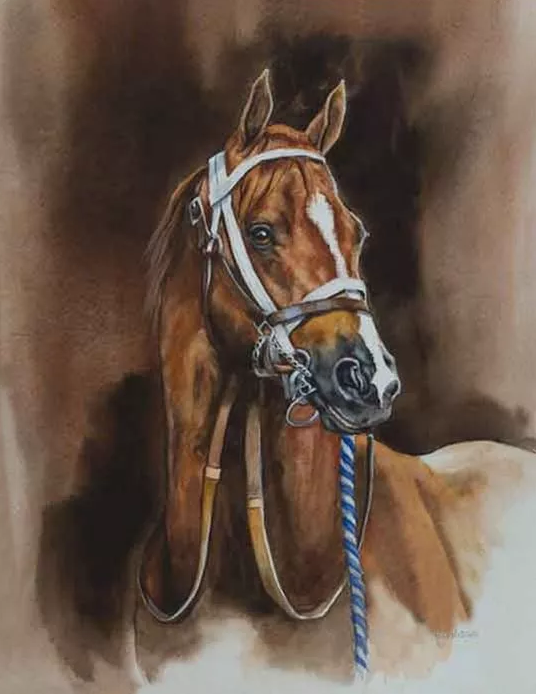 15265424369623695c09a4a