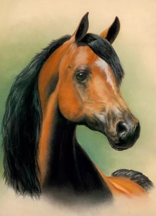 1526542438179060a7a9872