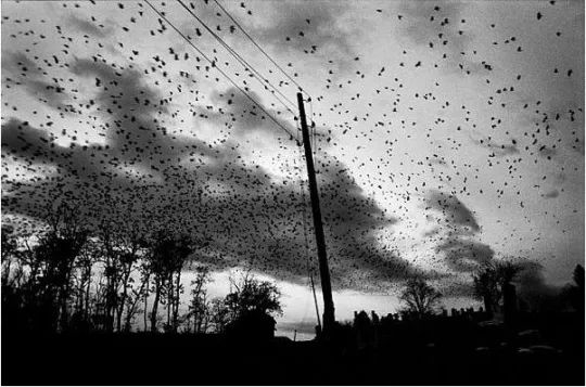 15259990113693abdc31ecc