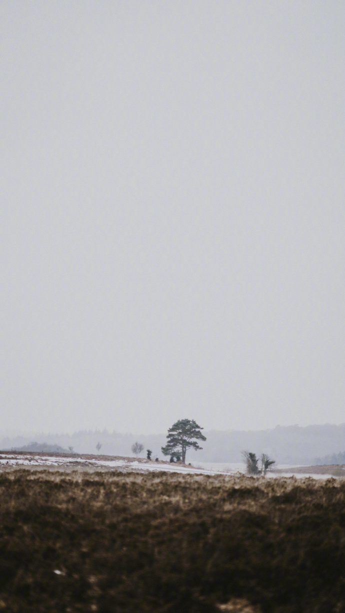 1521506872462f8bb50f689