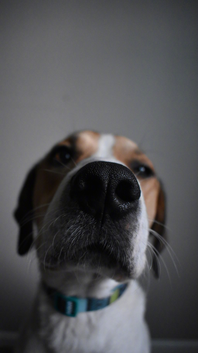 1521506874400359a016058