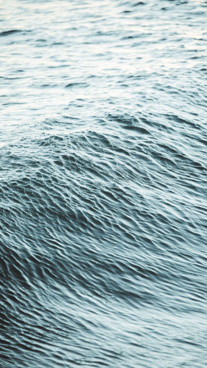 15215068749393af2a079a2