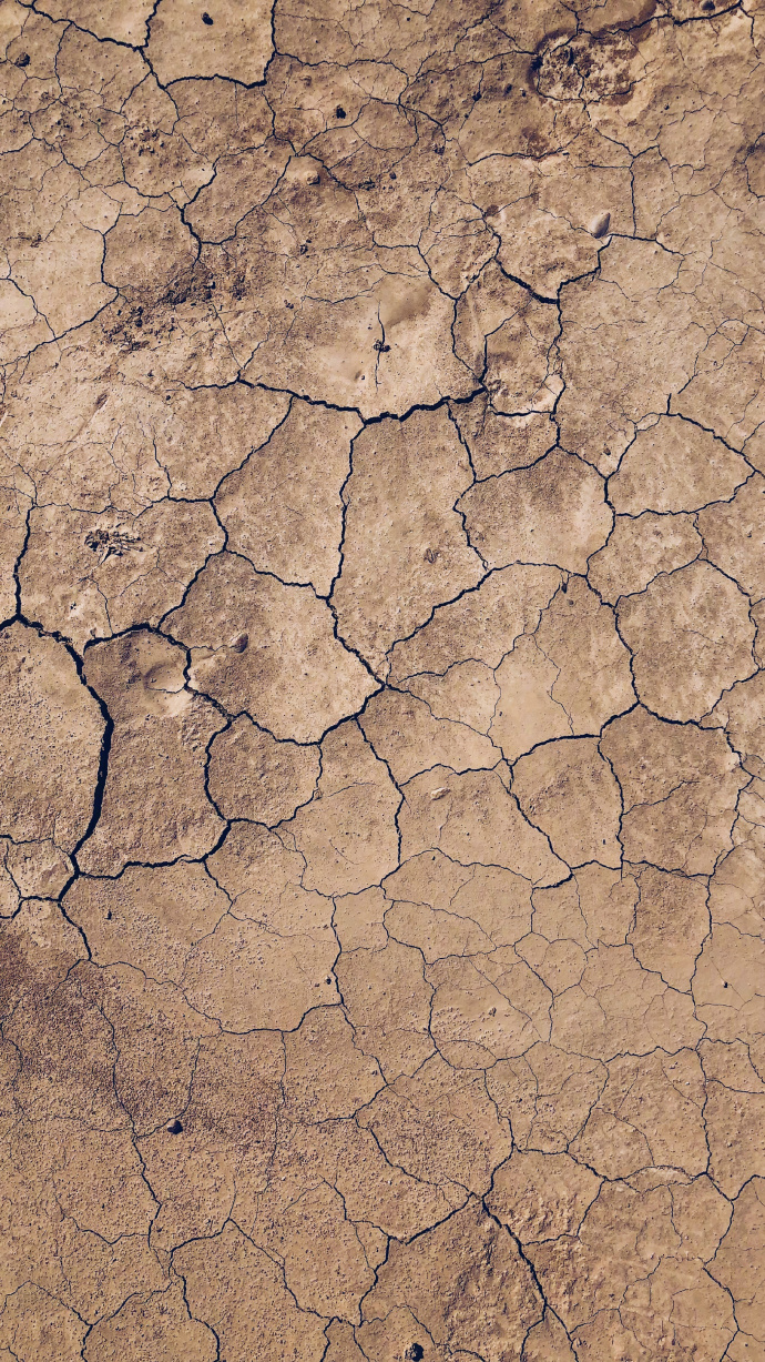 15216090889021ed0606f62