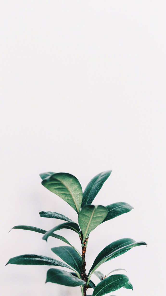 1521609088784ae0ccd5ce2