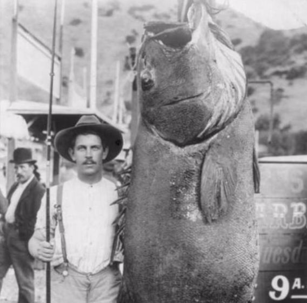 1521722465382a003c1b7b7