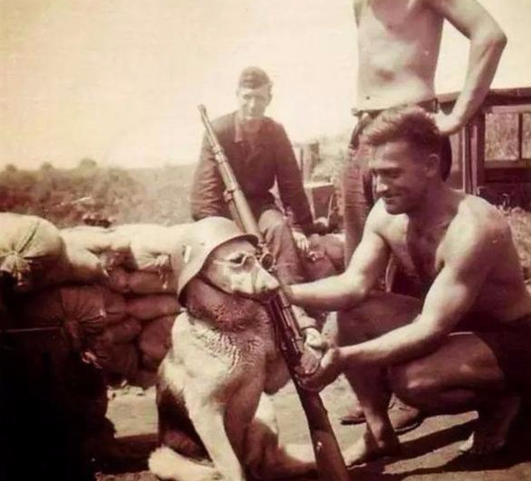 152172253089723c46894d6