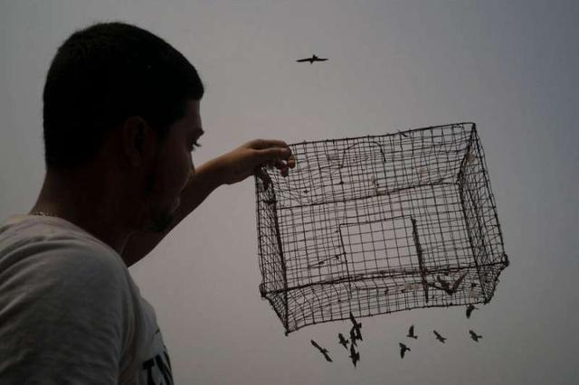 6c3f000447c7dc466366