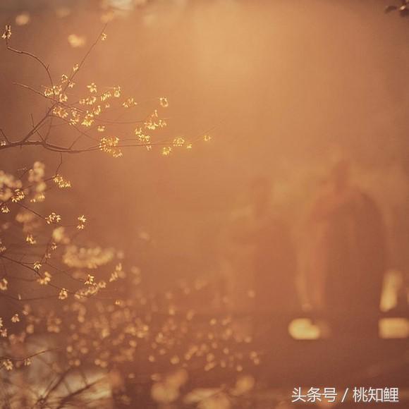 66c700023e10ba3a4a39