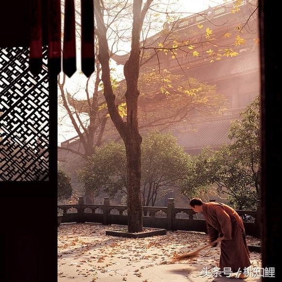 66c50002b139967005e4