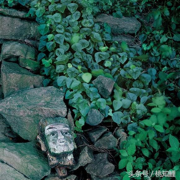 66c600029938b770f637