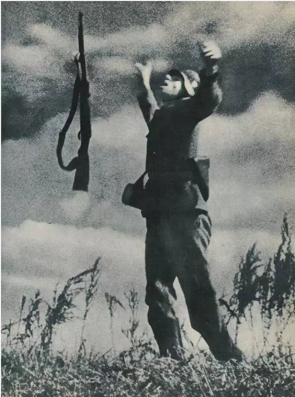 321e00029ee27e924602