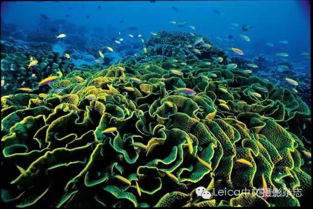 31fb00040d9a9dfc47ec