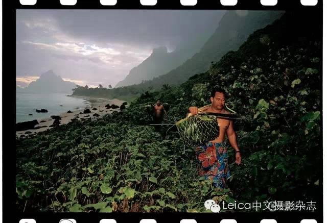 3203000450a0b3611739