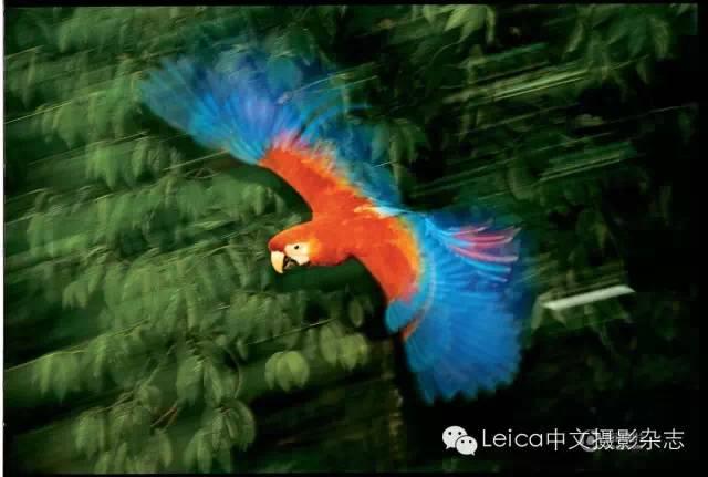 320d0002cdd88fe8e983