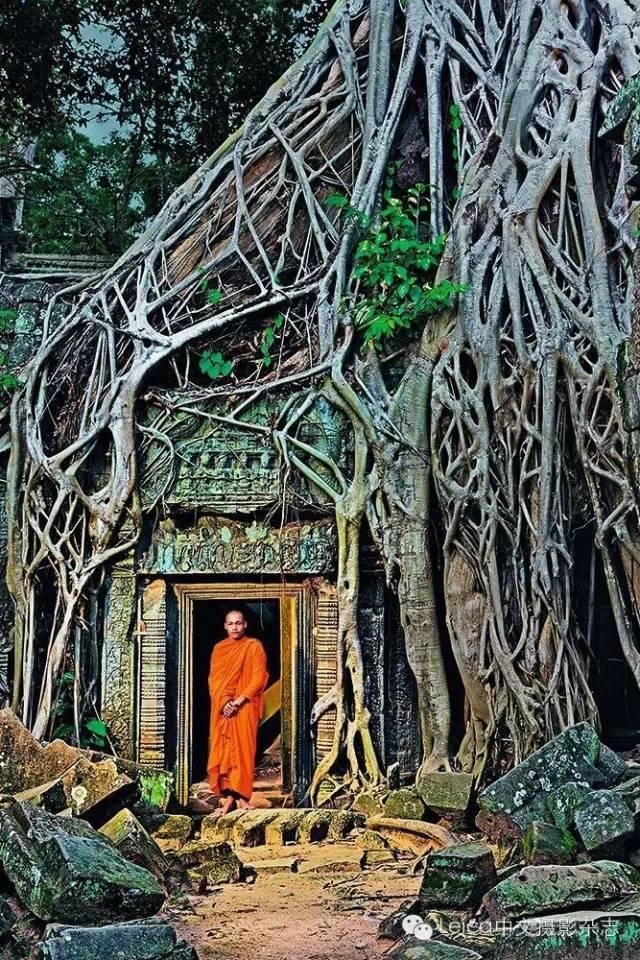 31fb00040d9e311b54da