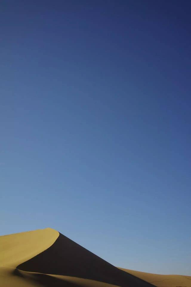 311000063b068c988ba9