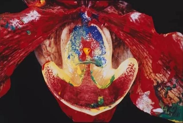 310f000cfe63ae8748c8