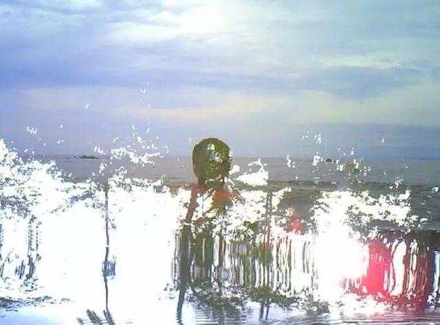 310d000f70b2d611ff9e