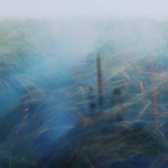 311000063b100f28b061