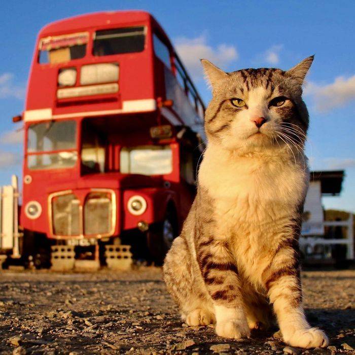 1523801919849e61d119864