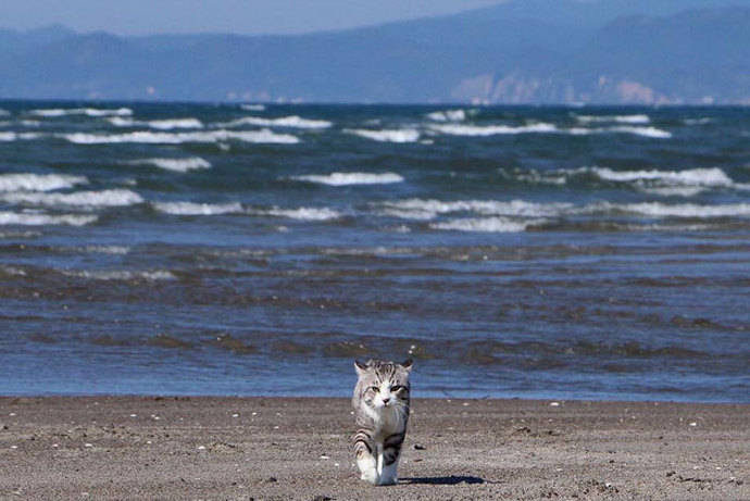 1523801920629696ff323bf