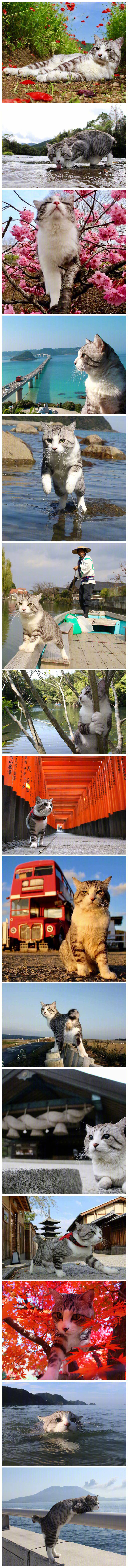 15238019212371fb5141758