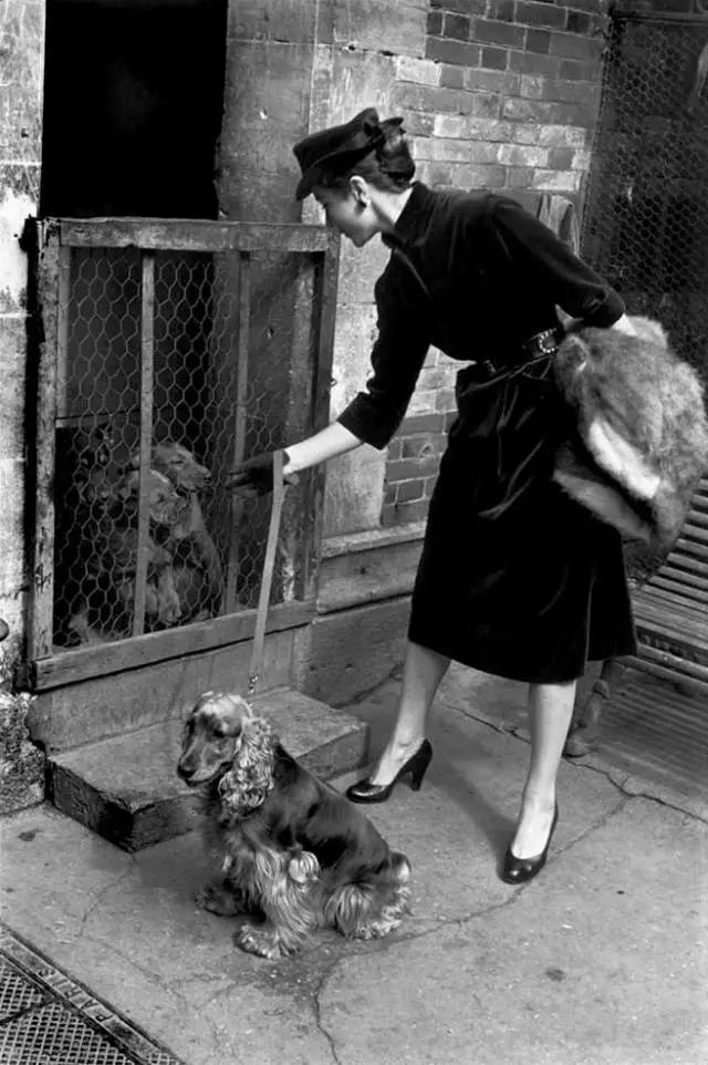 1524362027197fce2f214e7