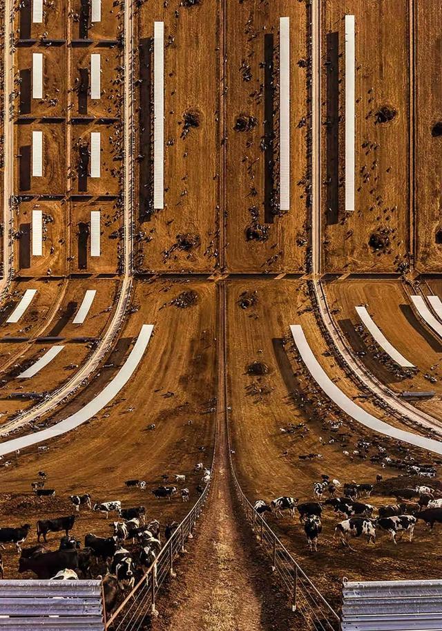 19ea0001308e4dba777d