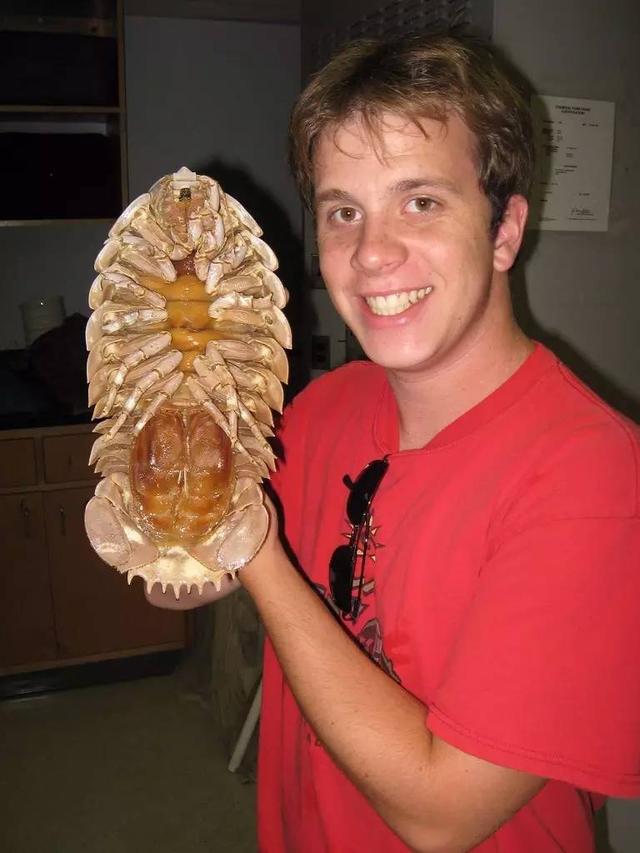 11bb00042278e1ac0810