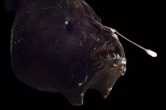 11bb00042281fdfe24d1