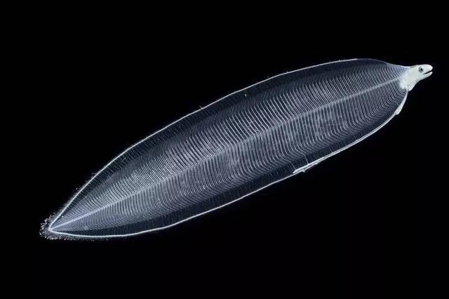 124d0006284f6b1d9e40