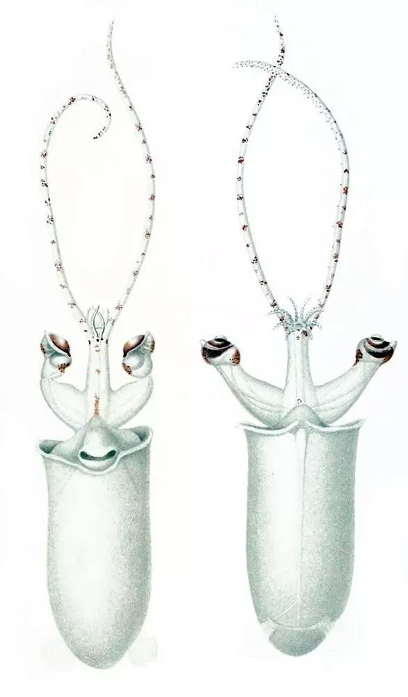 1241000b07353474e4e5