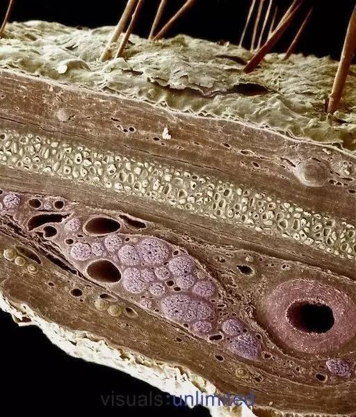 2a9b00011634ed1158db