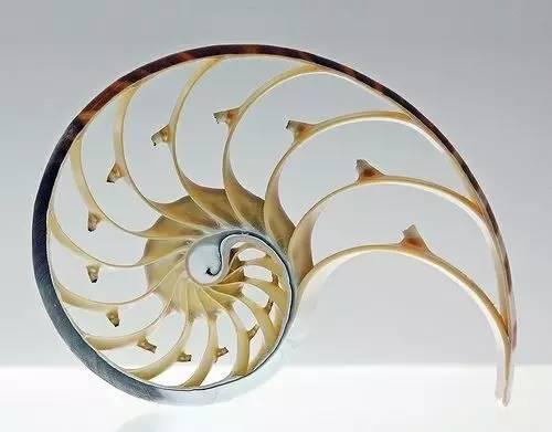 2a95000efcfd22bd6fdc