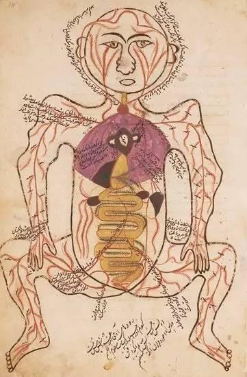 2ded0005b2da53e490f2