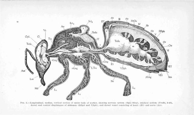 2dee00012e0989244e53