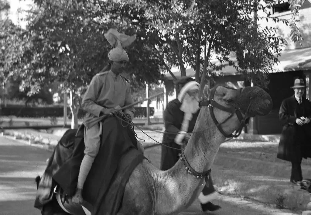 1525436753103fa3d6a2e94