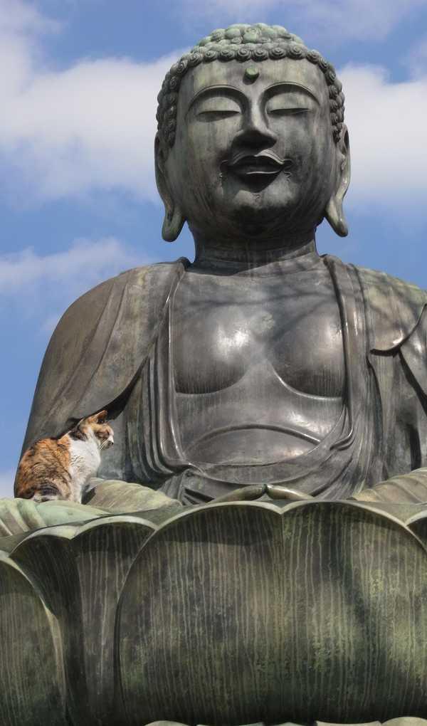 243a0003c54b2a75ea2c