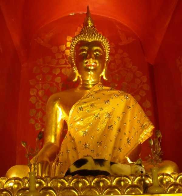 26e200011f9c27874012