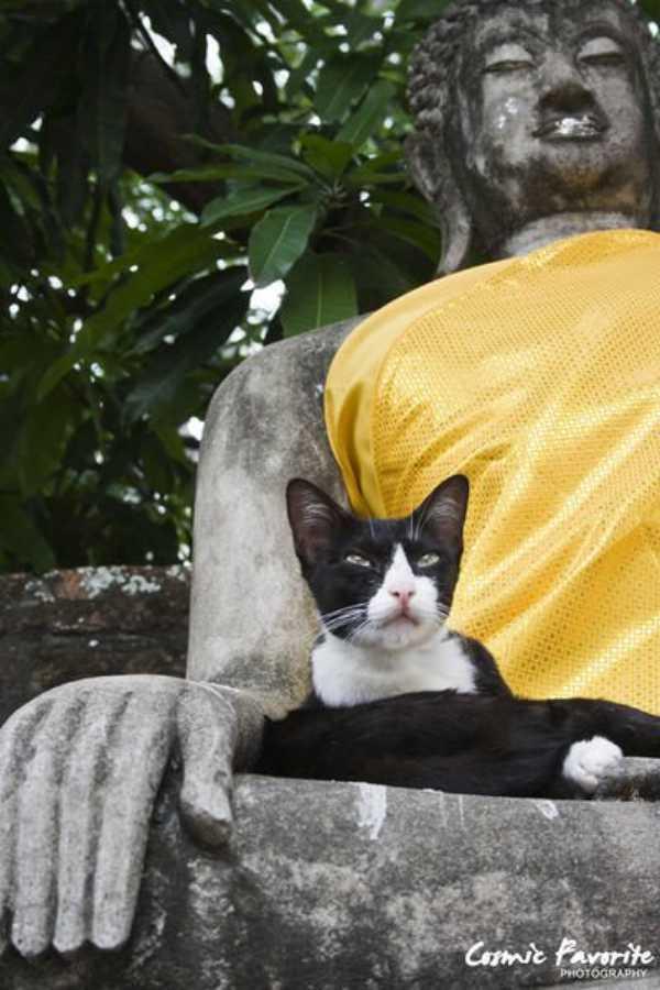 26e30001222b8e6442f9