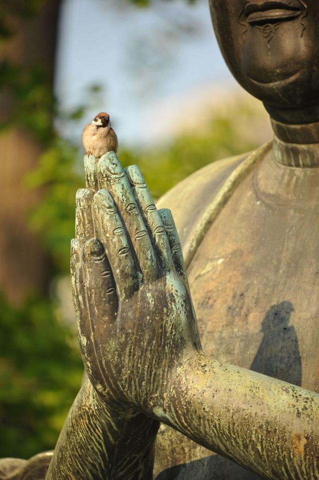 24390004ada6de5b045d