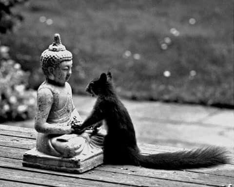 24380001d8c94ff07c74