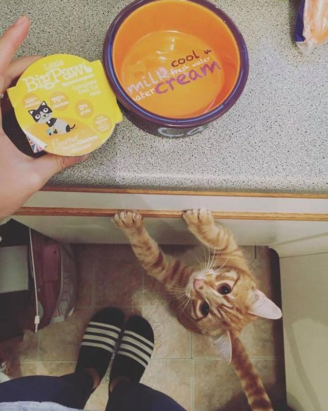 26e300012e1e6aa0f8fb