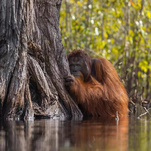 53f300025d8b38d5acb2