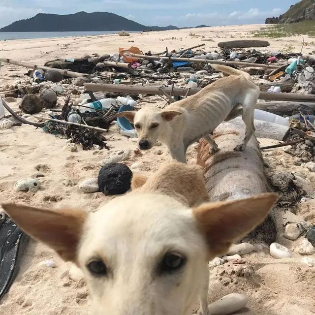 53f300025d90d6f76cb6