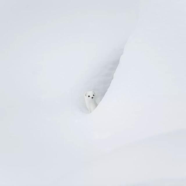 53ef00048a982fd9d3a4